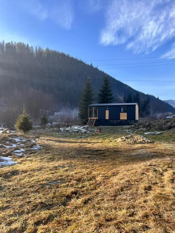 Мріяти Lägenhet Krivorovnya Exteriör bild